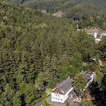 Waldmuehle 호텔 볼켄스타인