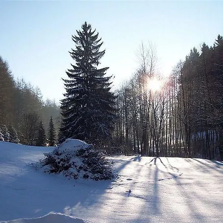 Waldmuehle Wolkenstein