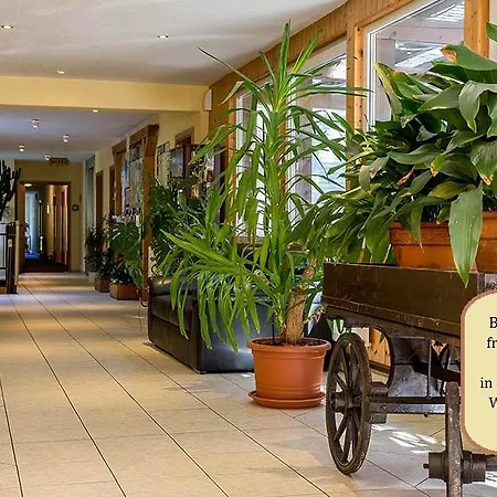 Hotel Restaurant Waldmühle Wolkenstein