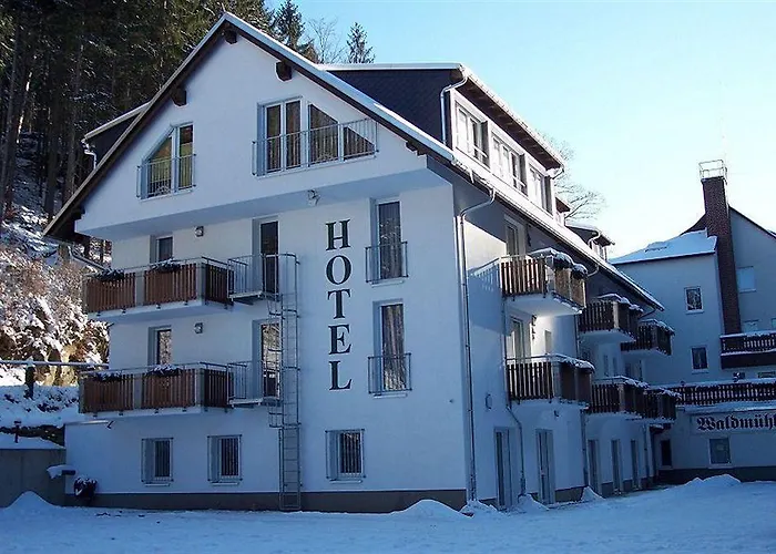 Waldmuehle فولكنشتاين