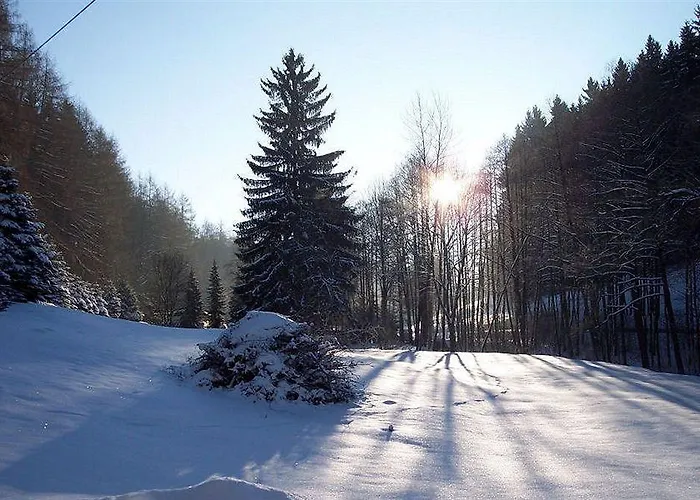 Waldmuehle فولكنشتاين